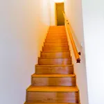 Apartament Nova - Lipno