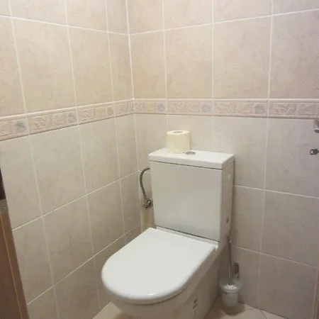 Apartment Nova - Lipno Nova Pec