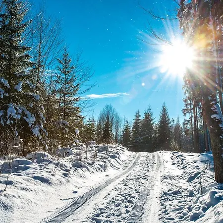 Apartmán Lipno - Böhmerwald - Na šumavě *
